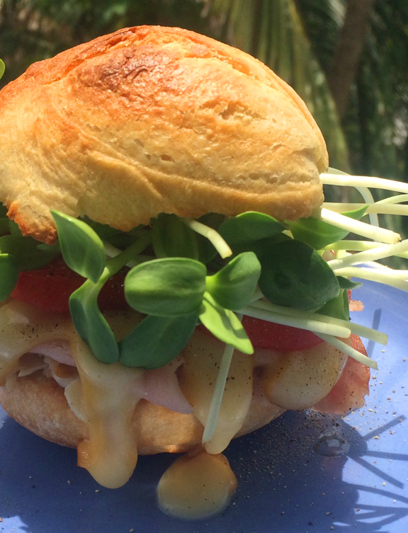 Turkey Sandwich with Sunflower Microgreens.jpg