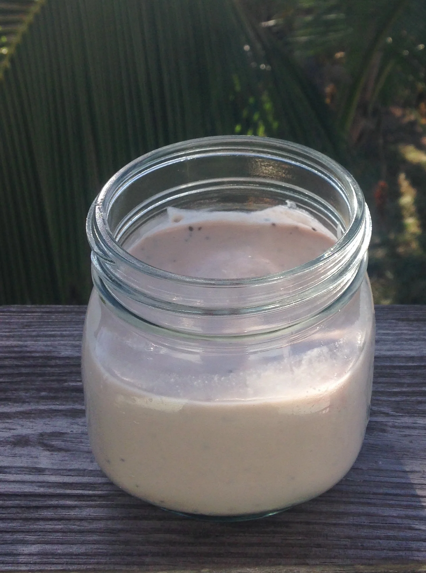 coconutyogurt.jpg