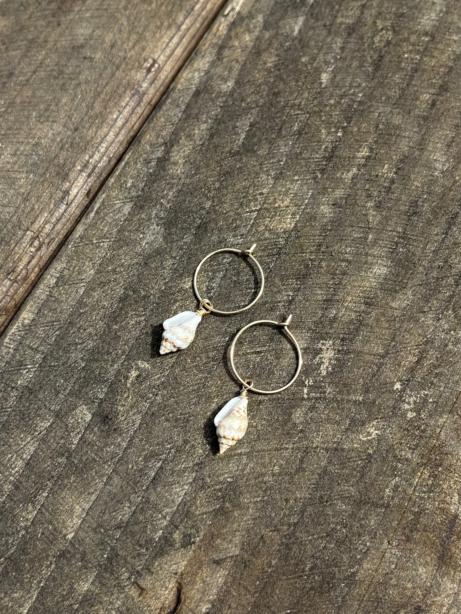 7629E5AB-1E40-4CDB-B104-1823A6D9341C