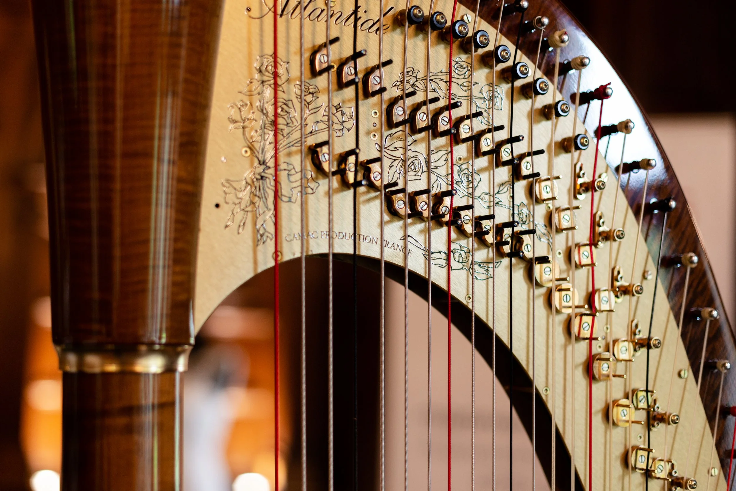 The Hawkhills Wedding Fayre harp detail copy.JPG