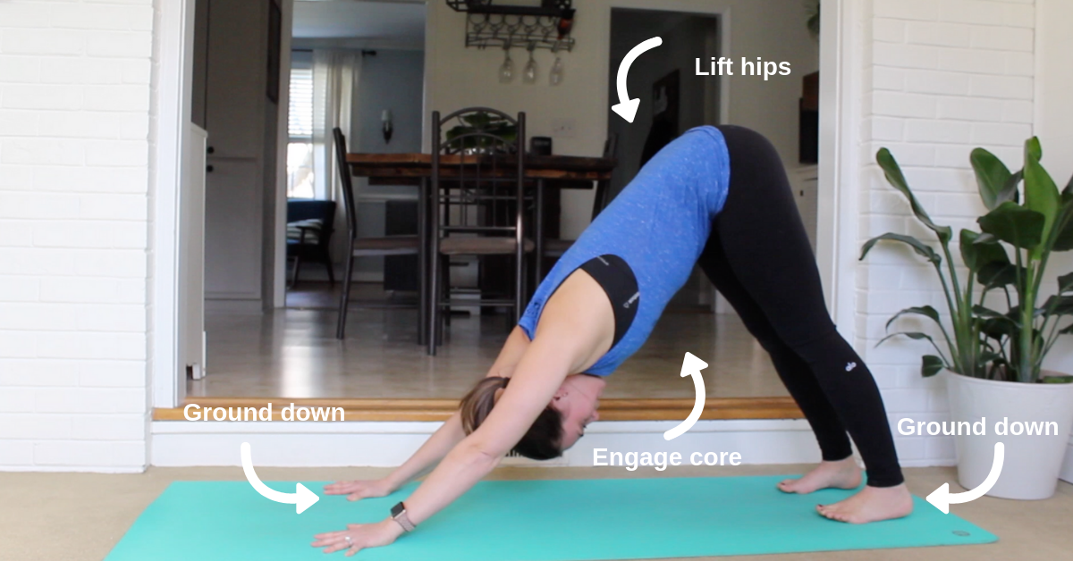How To Downward Facing Dog Flow Yogi Flow