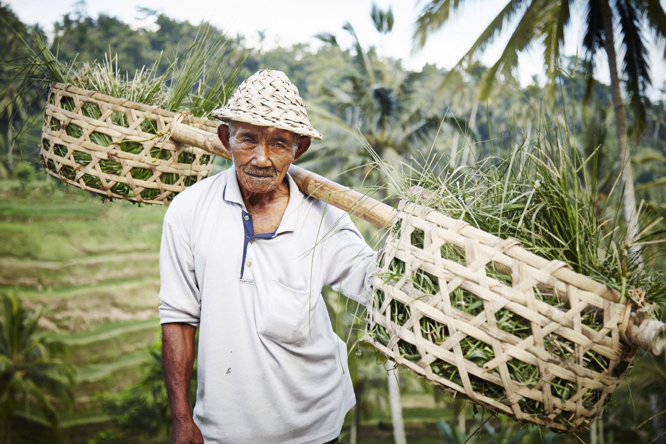 pitstop on my Motorbike ride, ceking ('checking') Rice Terrace about 30 minutes North of Ubud, Bali, Indonesia