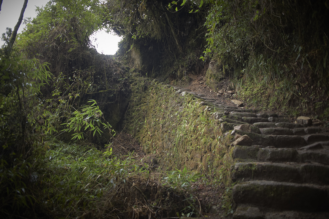 Day 3 Inca Trail