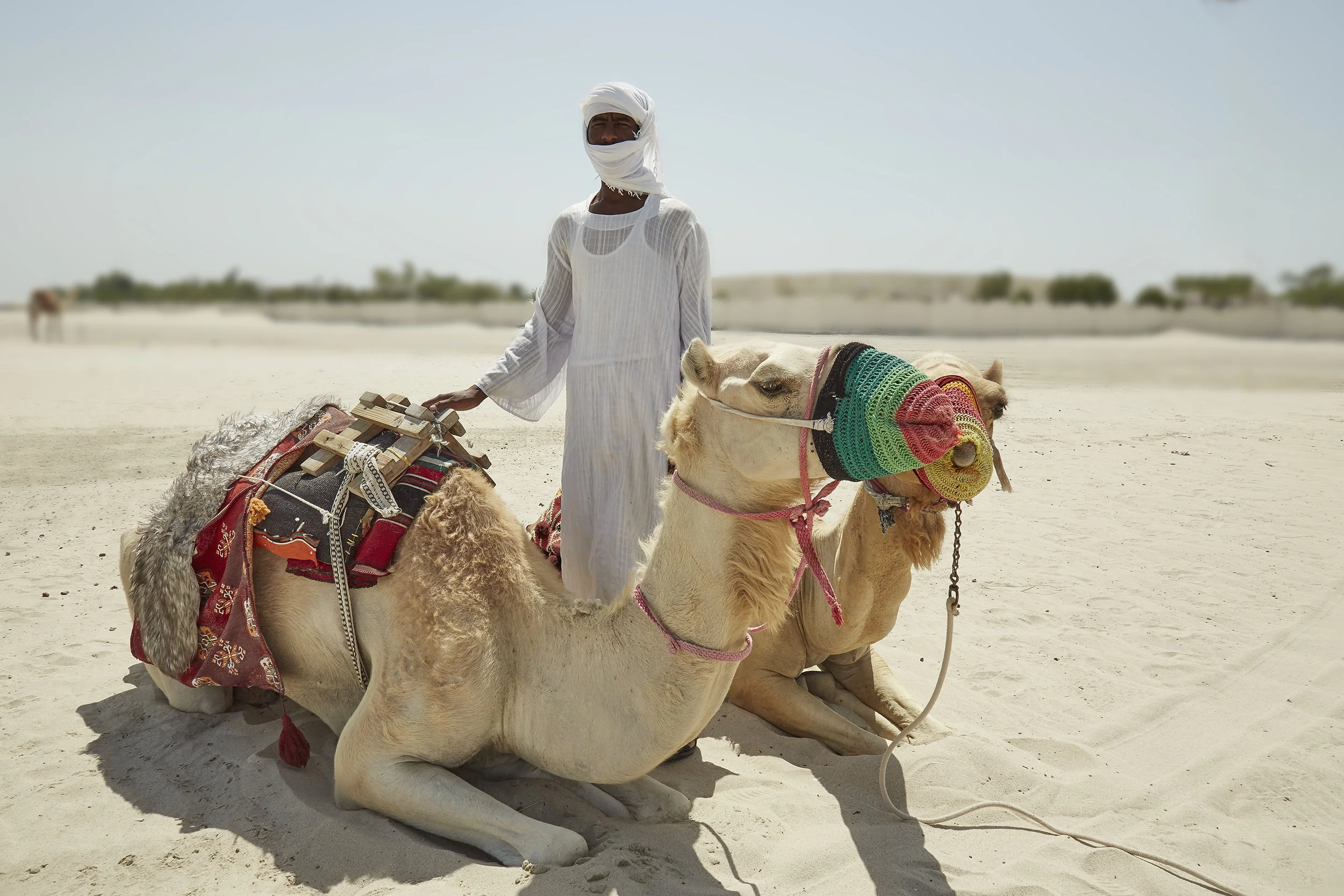 Sudanese Camel Caretaker (near Mesaieed, Qatar)