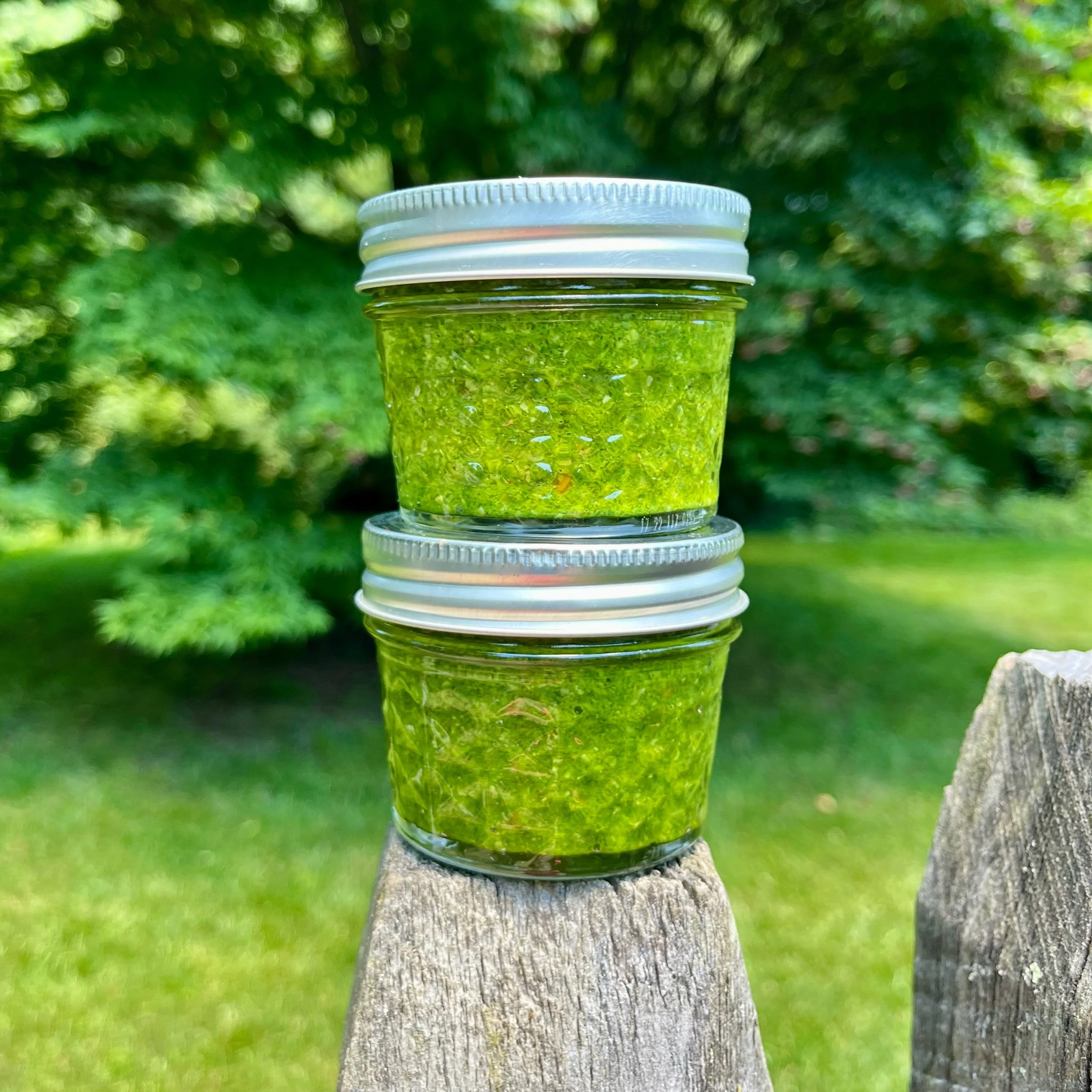 Basil & Garlic Scape Pesto