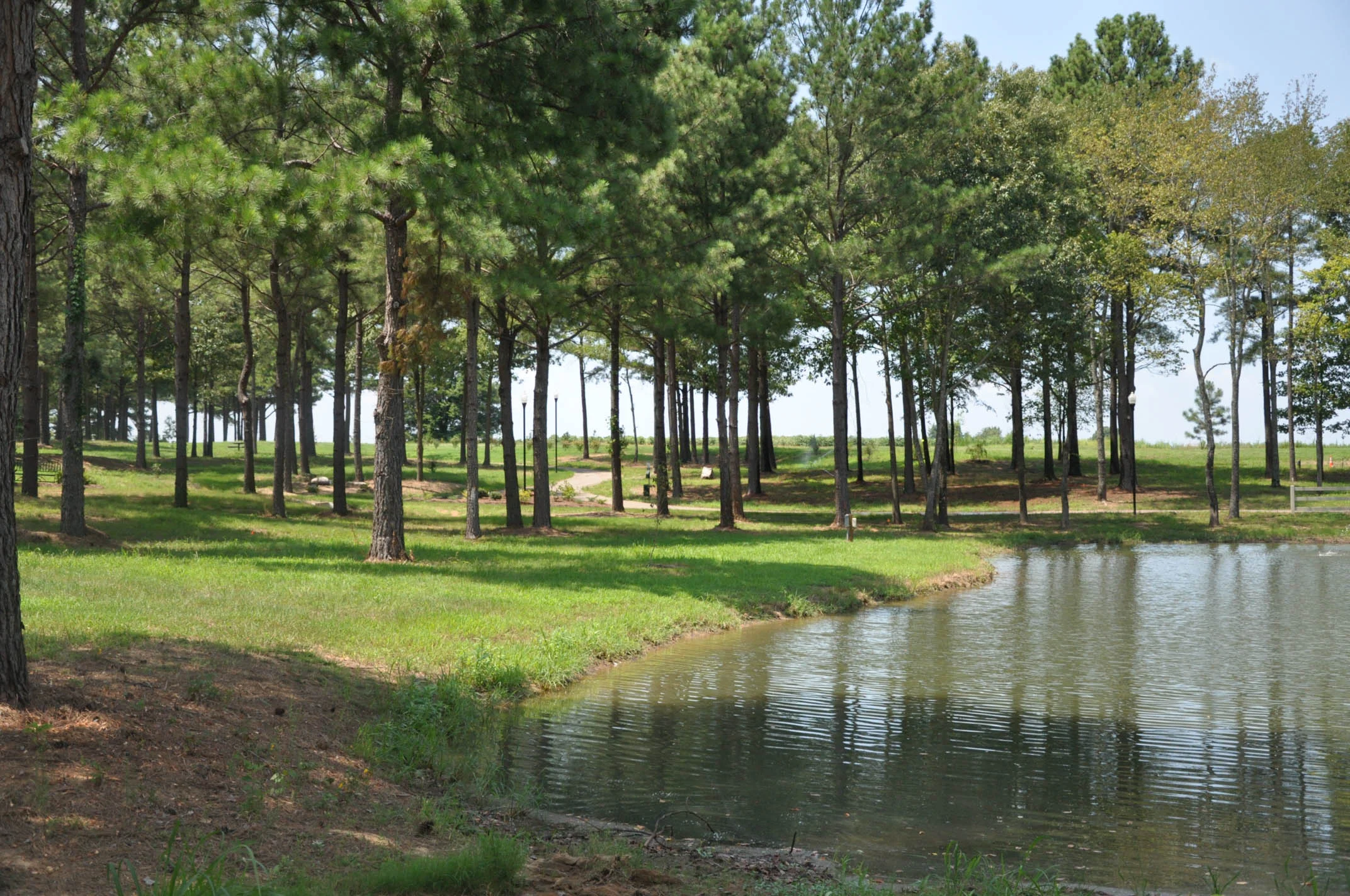 BentonCo-25.jpg