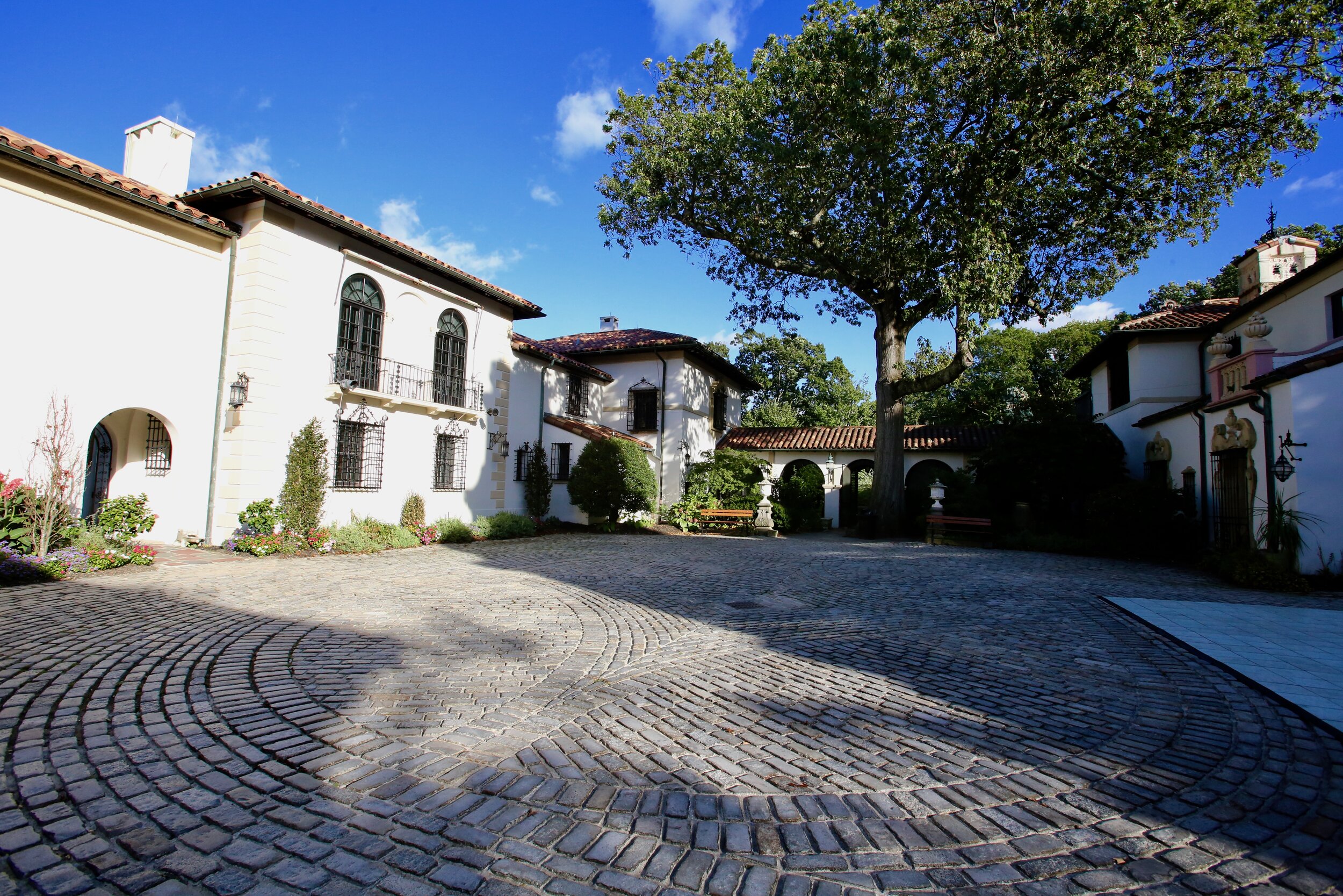 Maggie's Mission Fifth Anniversary Angelversary Gala — Maggie’s Mission