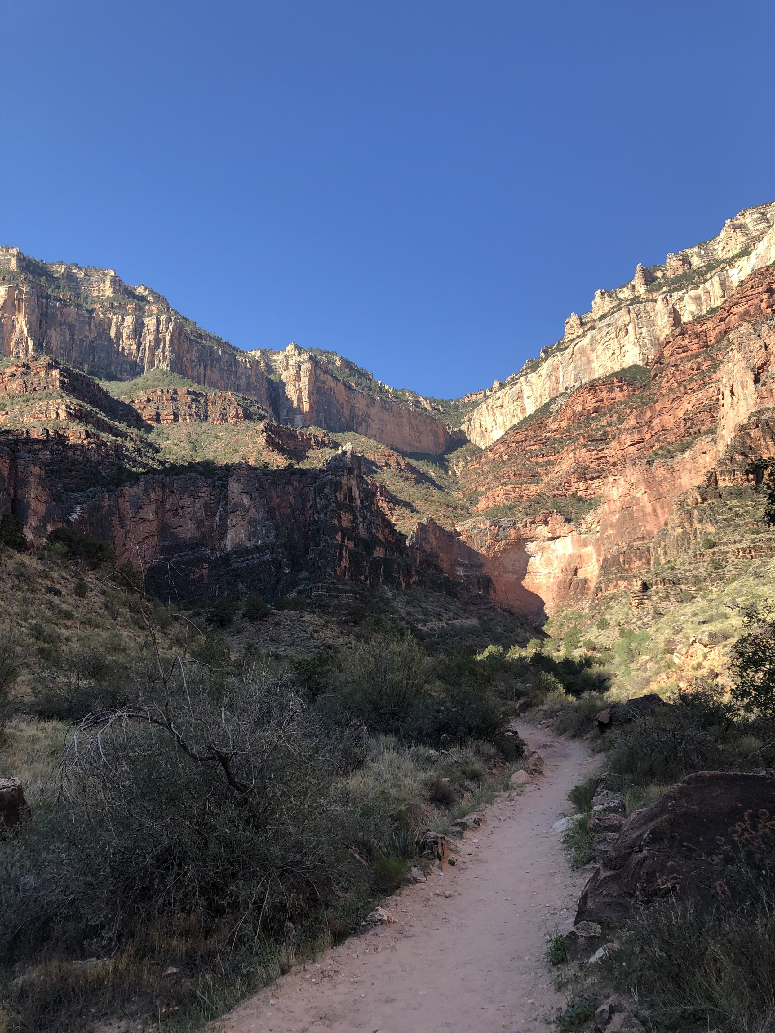 More morning light on the Bright Angel Trail.