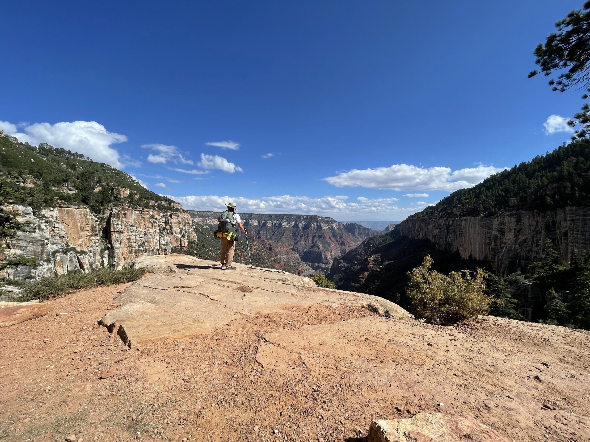 Coconino overlook near the tippy top of the North Kaibab. 