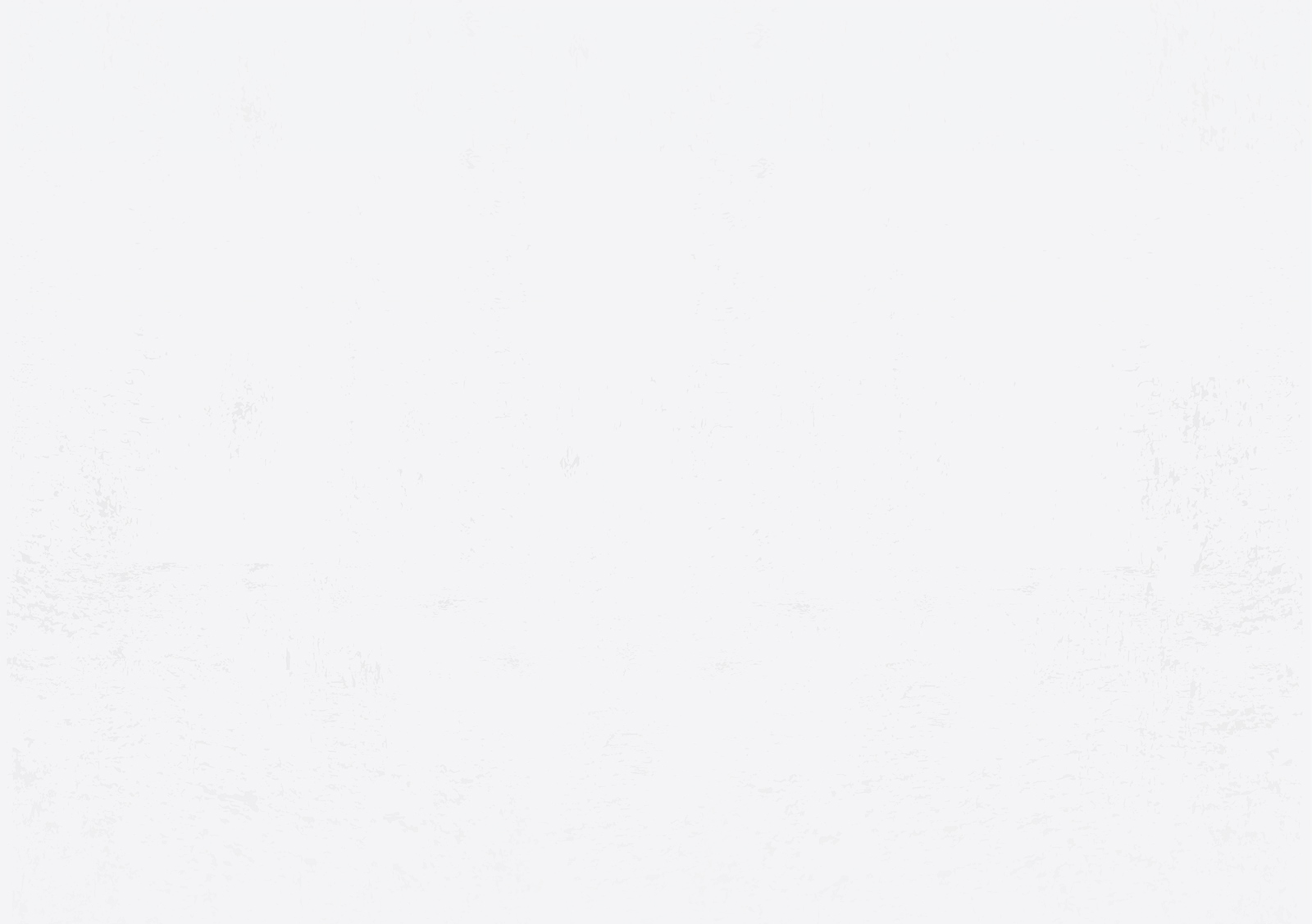 white-textured-BG_The-Brindiamo-Group.jpg