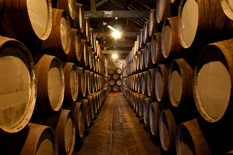 Wine-Cellar_The-Brindiamo-Group.jpg