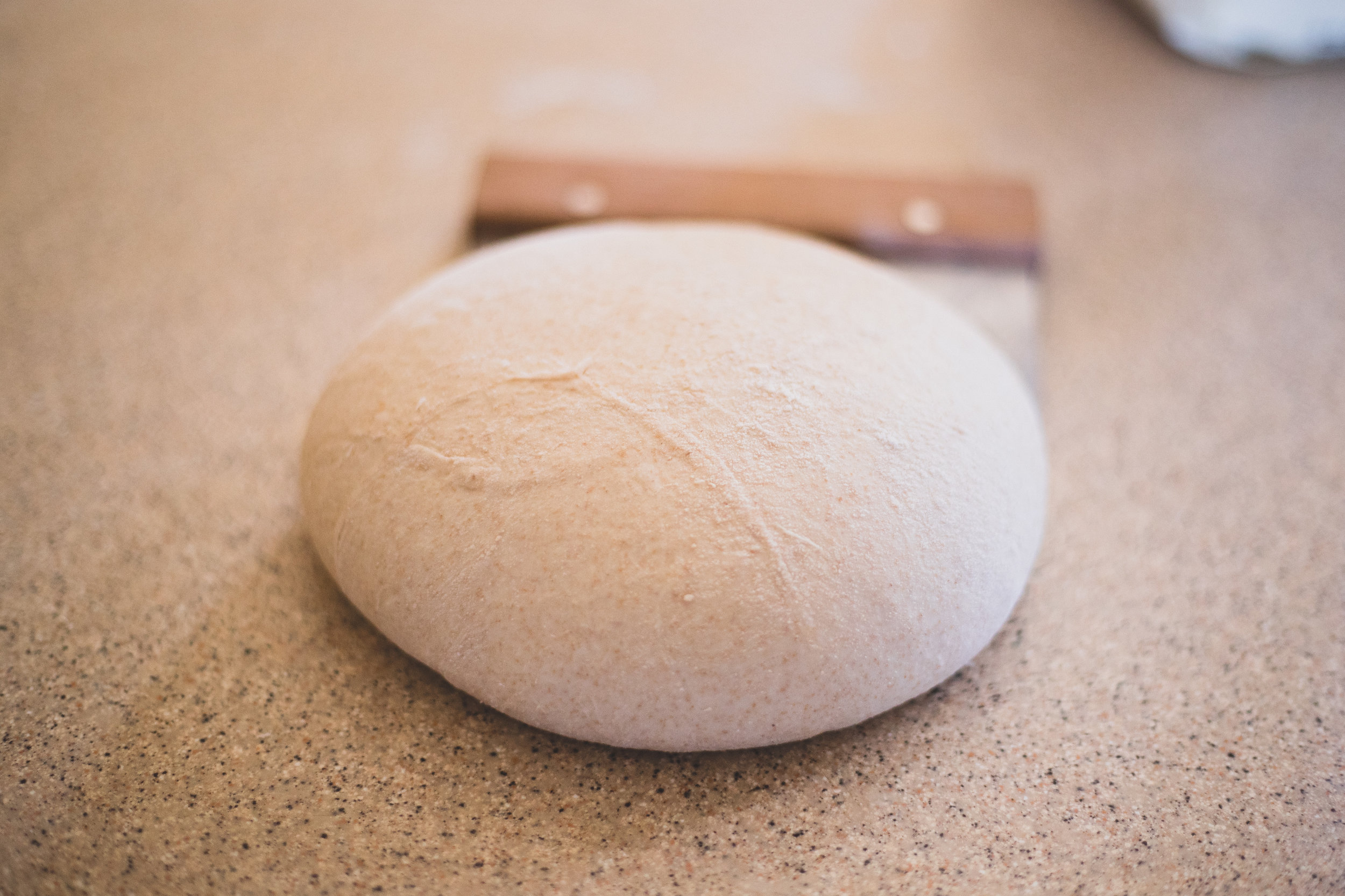 Reshape the dough boules.