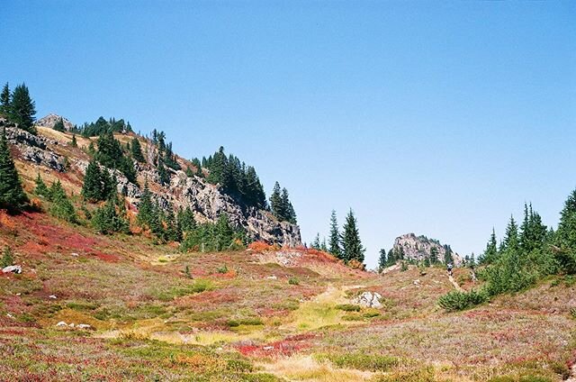Lots of crazy adventures coming up for Sid and I this summer 🤗
&bull;
Stay tuned for some big news 😂😬🙌🏼
&bull;
Also I miss the north cascades!!! Who wants to go backpacking with me 🙋🏼&zwj;♀️