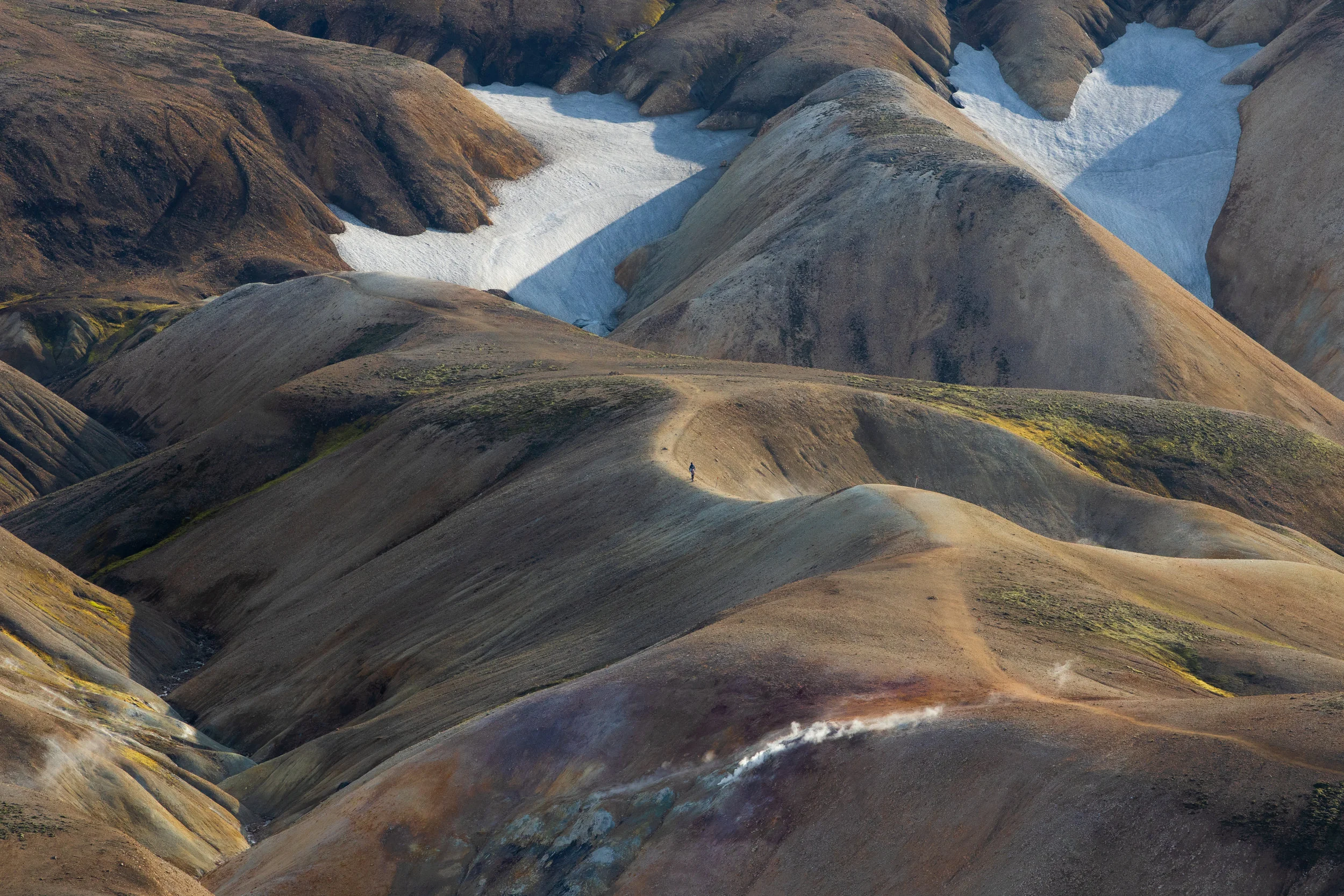 1T0A0167-3.jpg