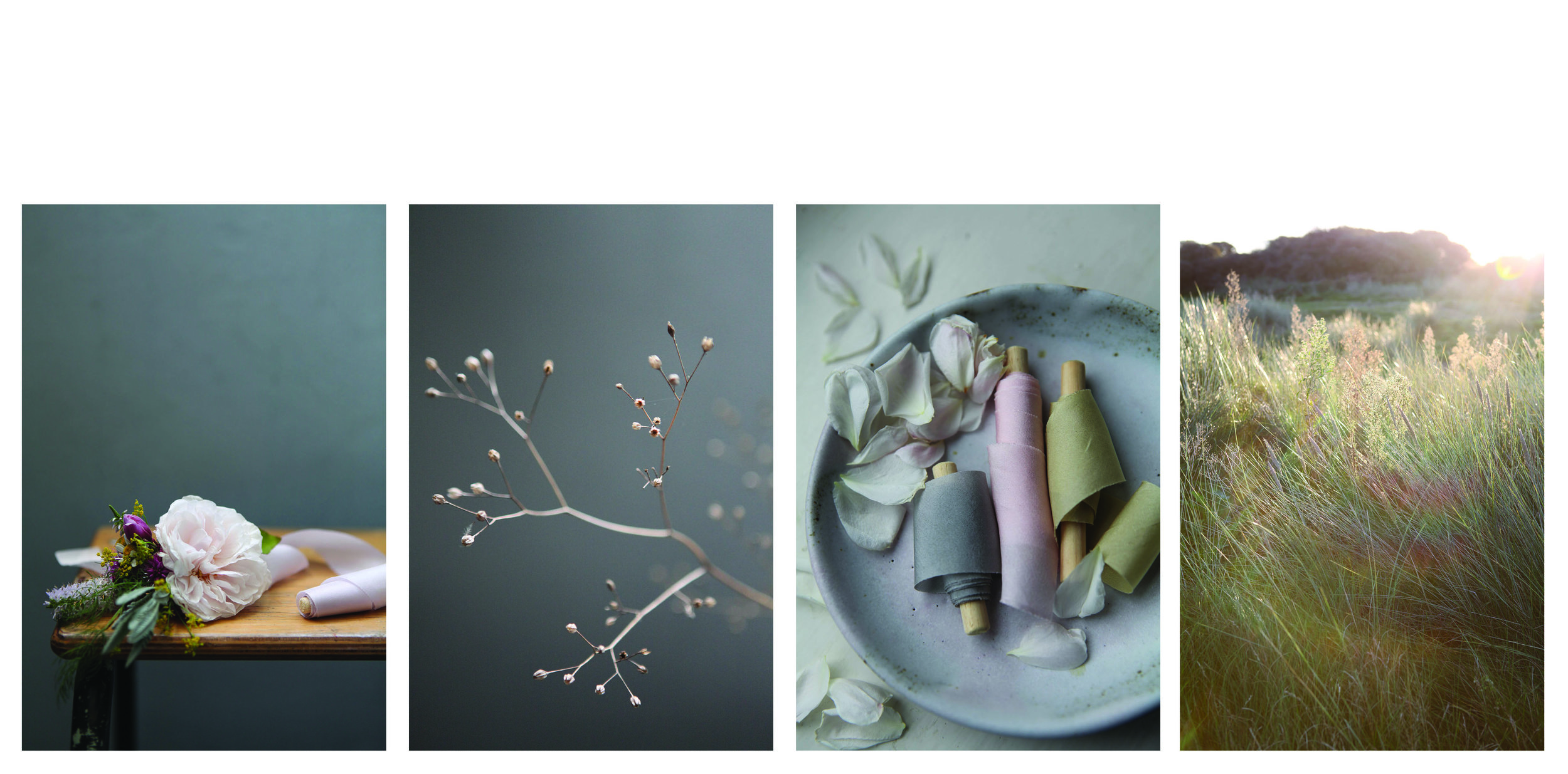 homepage layout3.jpg