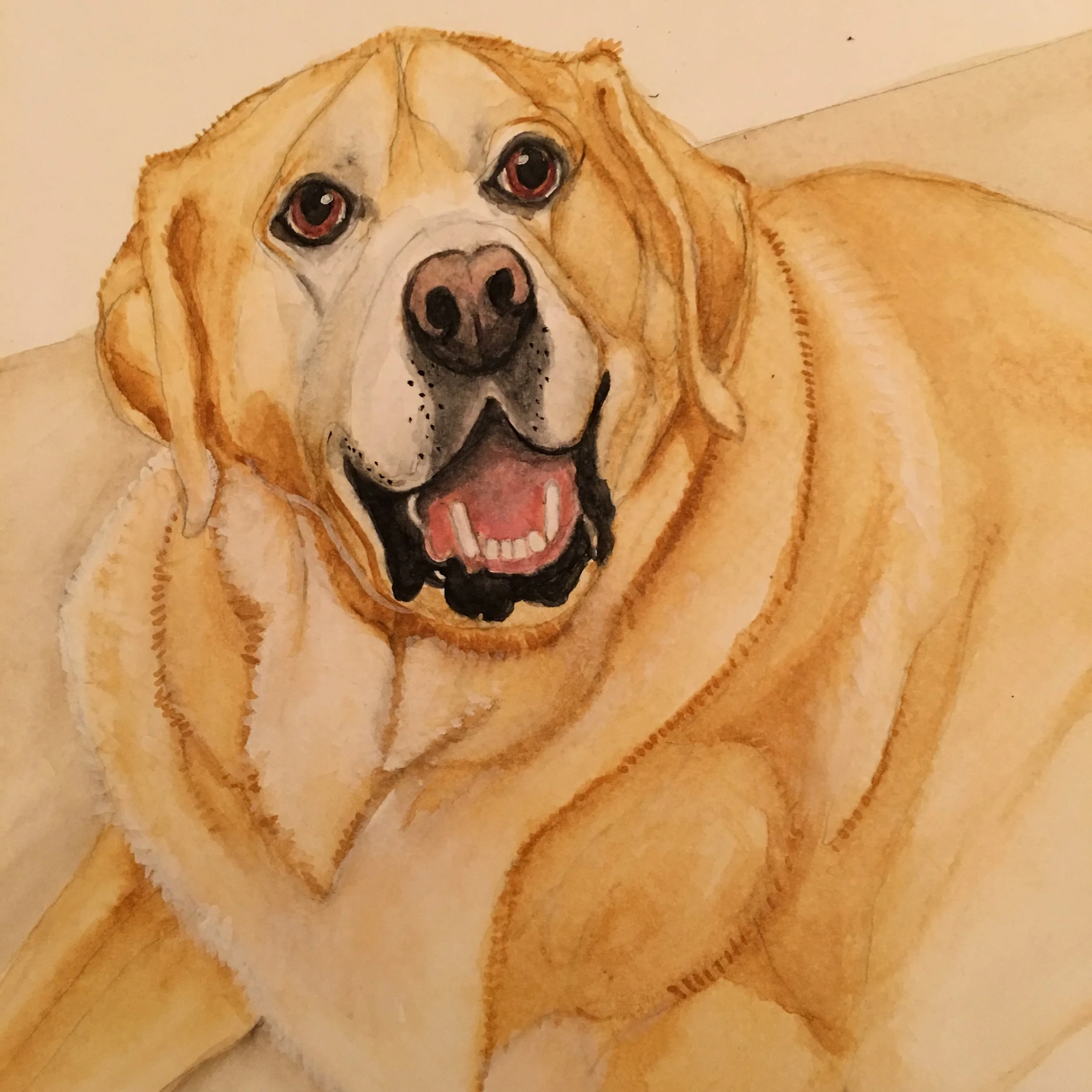 Handsome Mack.JPG