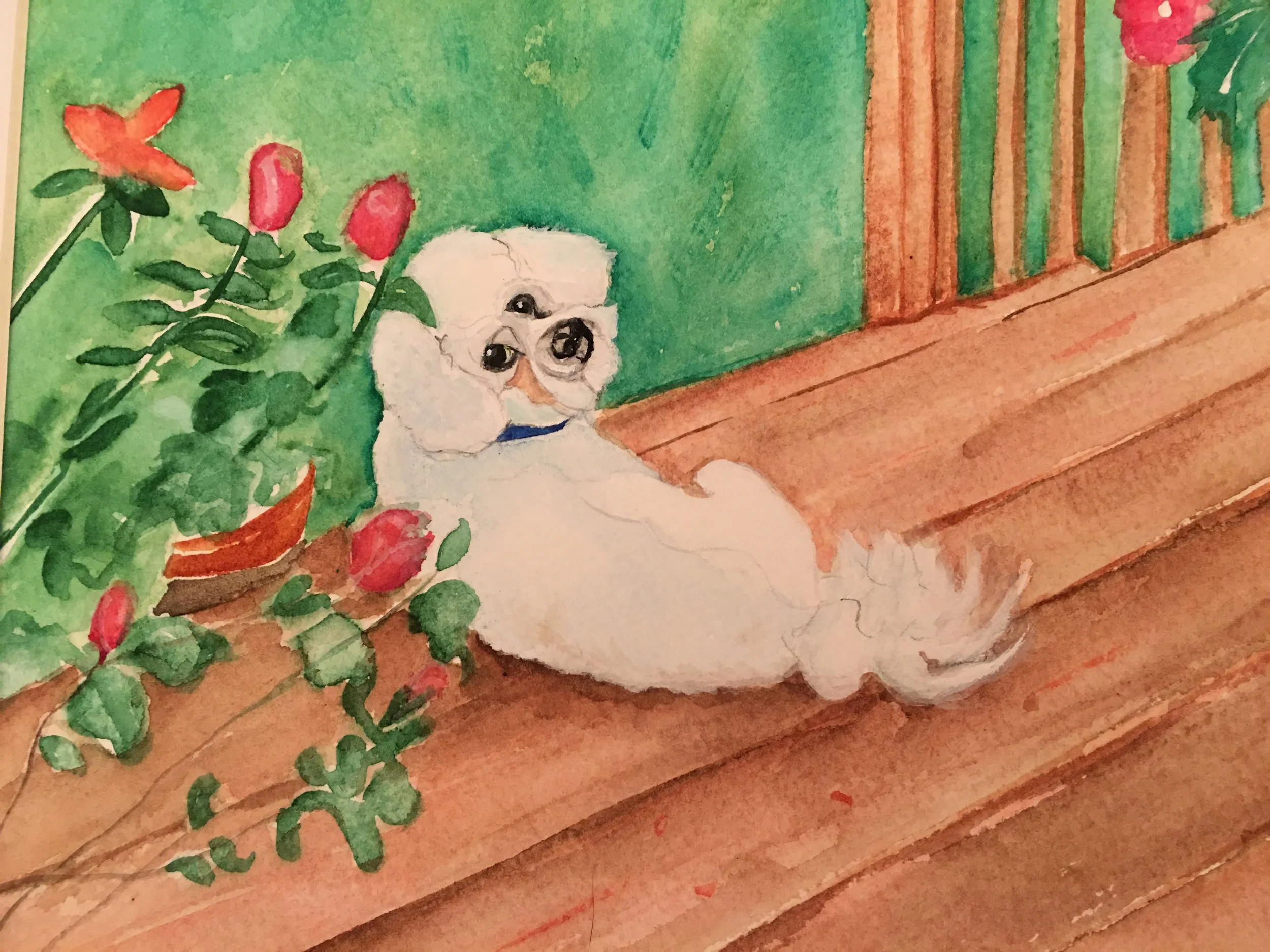 Louie. Another flower in the garden..JPG