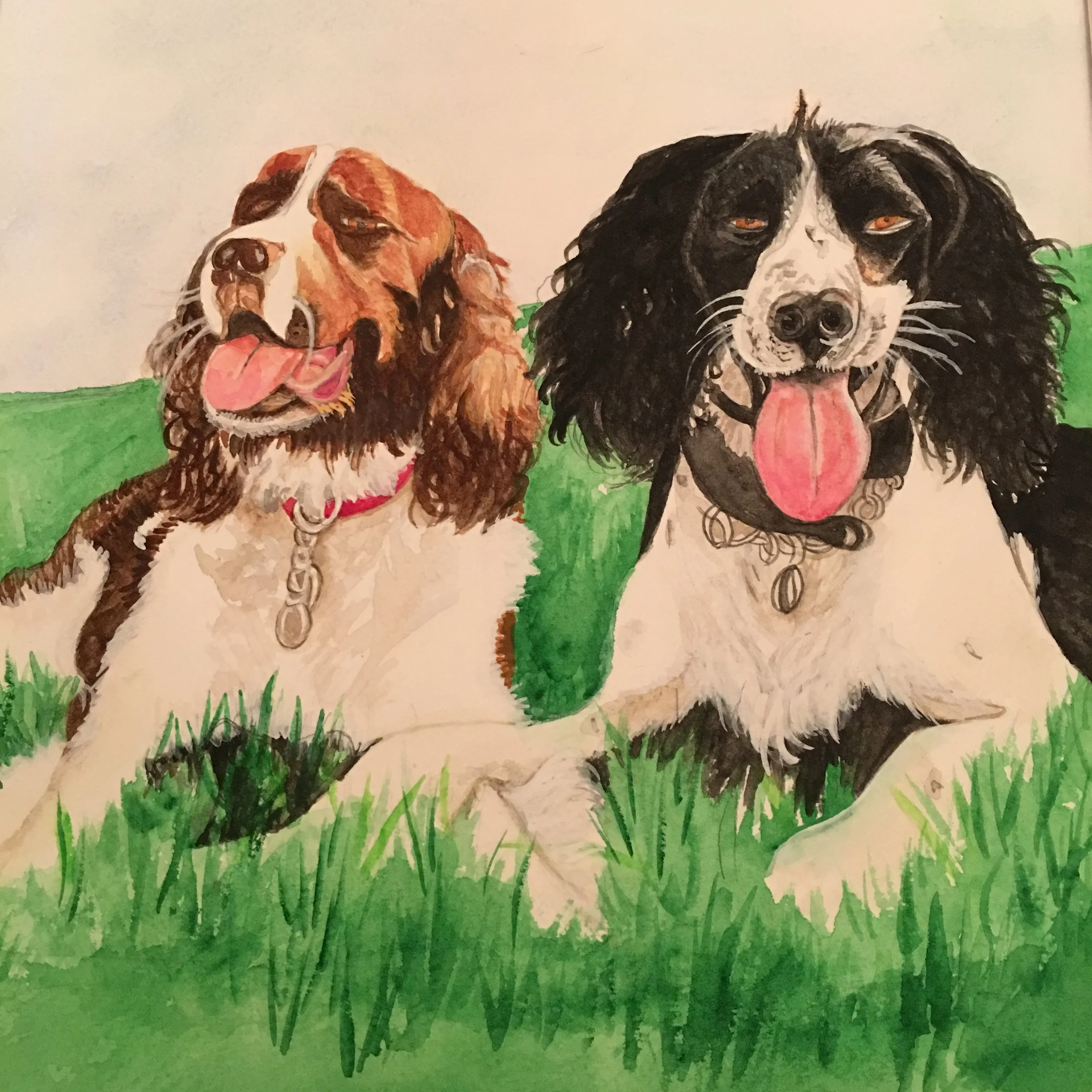 Fresh air and sunshine! Lucy and Butch..JPG