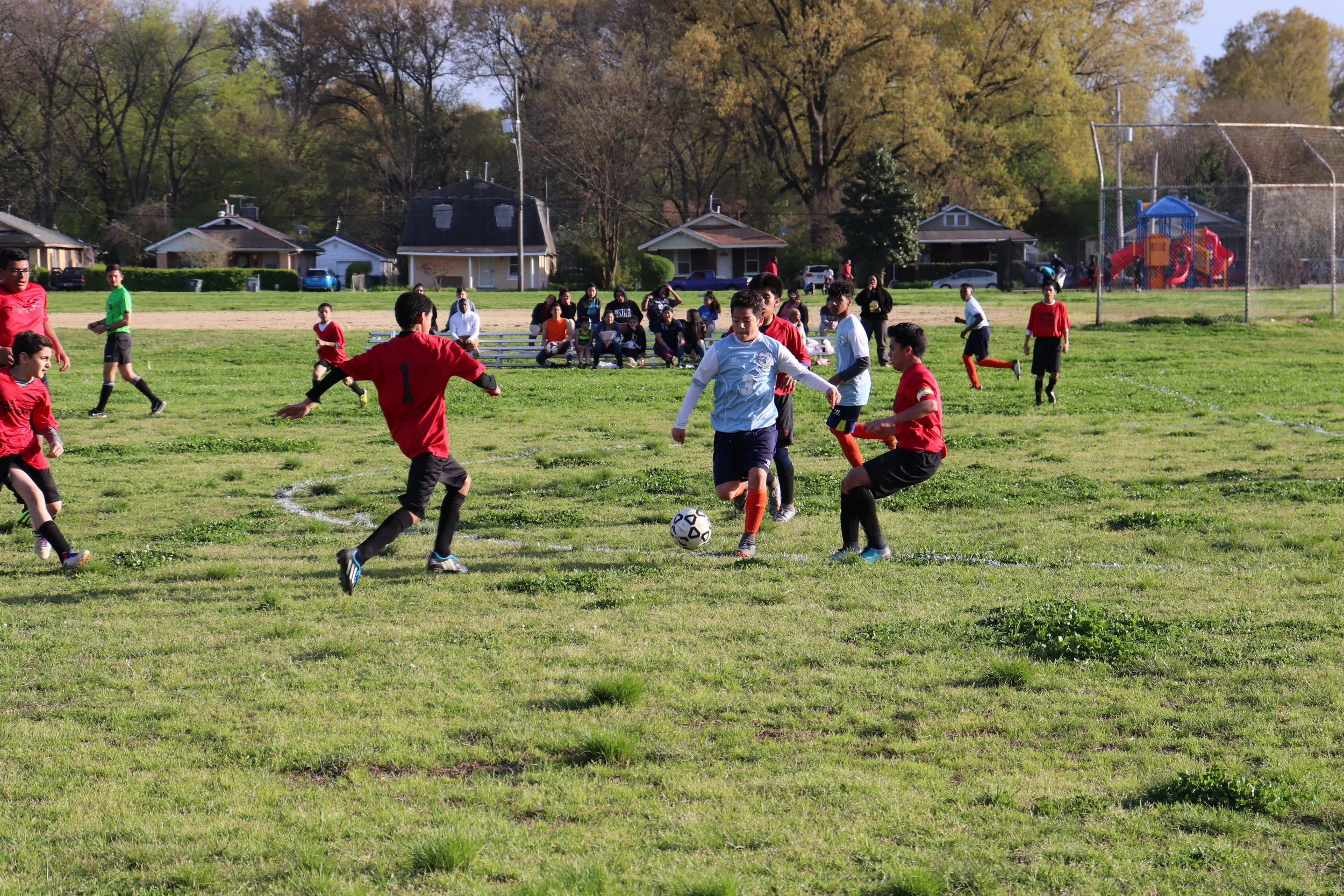 IMG_1145.jpg