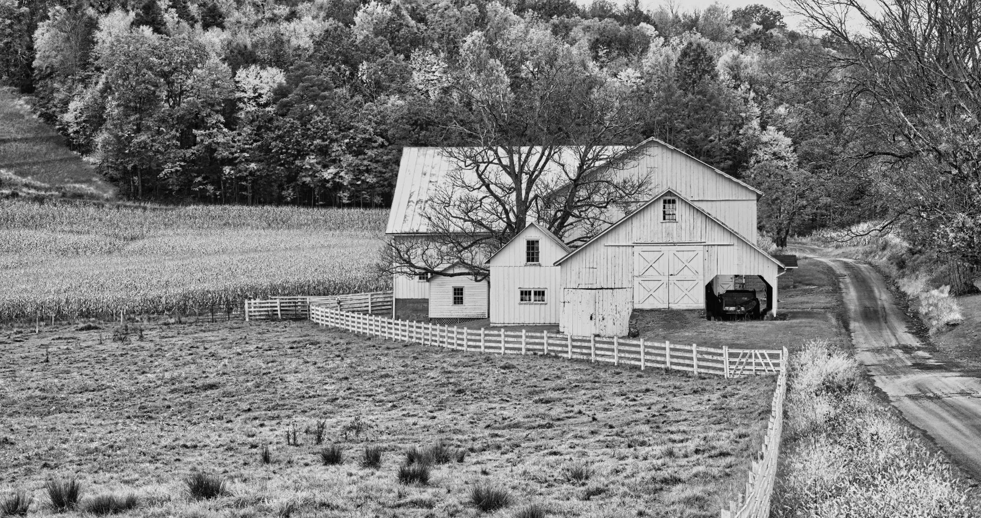 _DSC6640-edit 2.jpeg