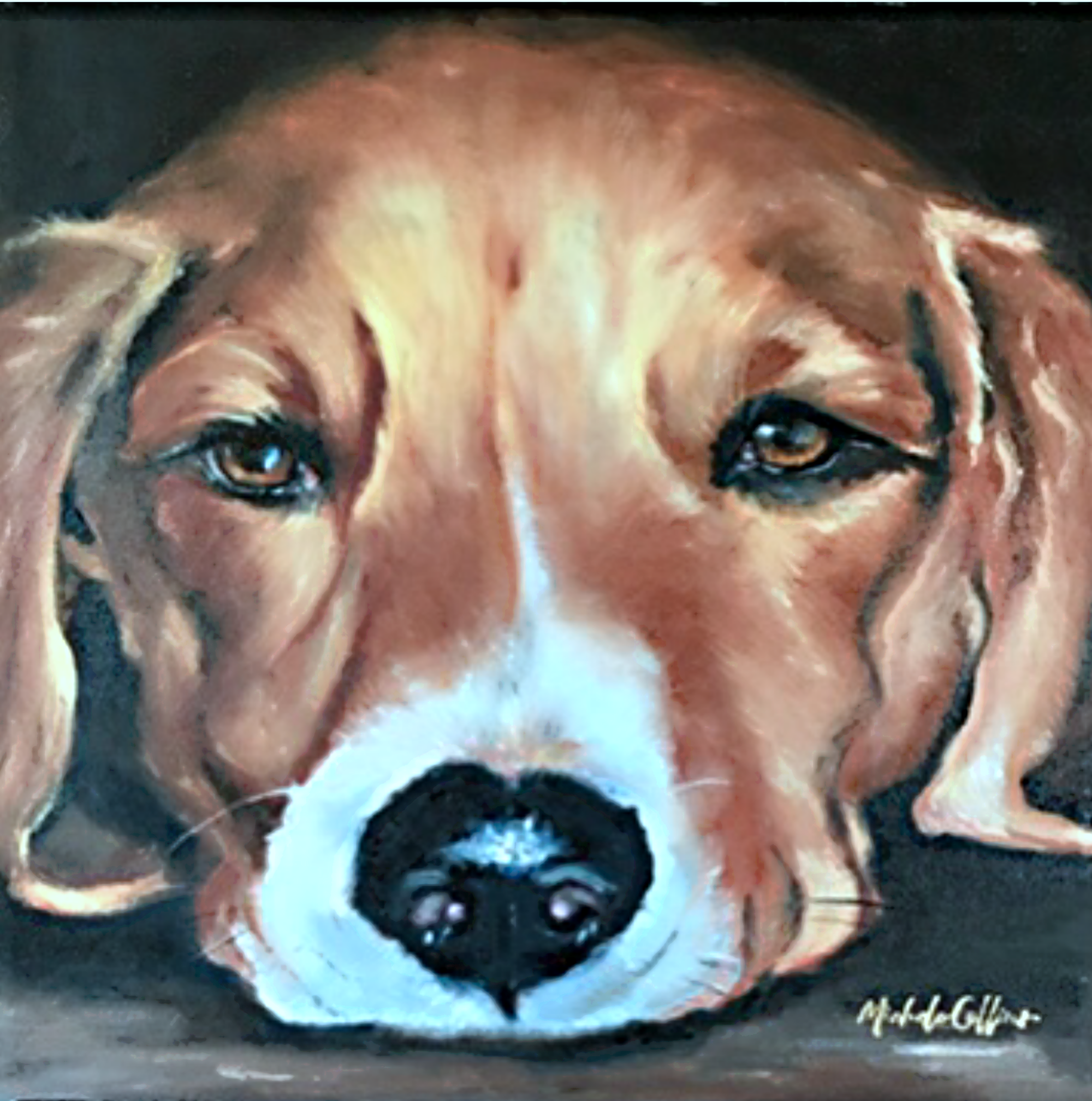 Beagle Portrait.png
