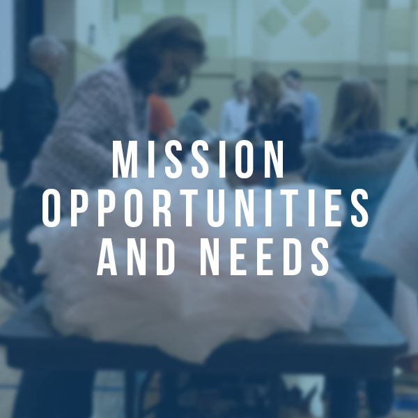 mission oppertunites and needs.png