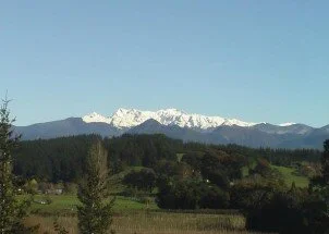 Dylan's Story Pic.jpg