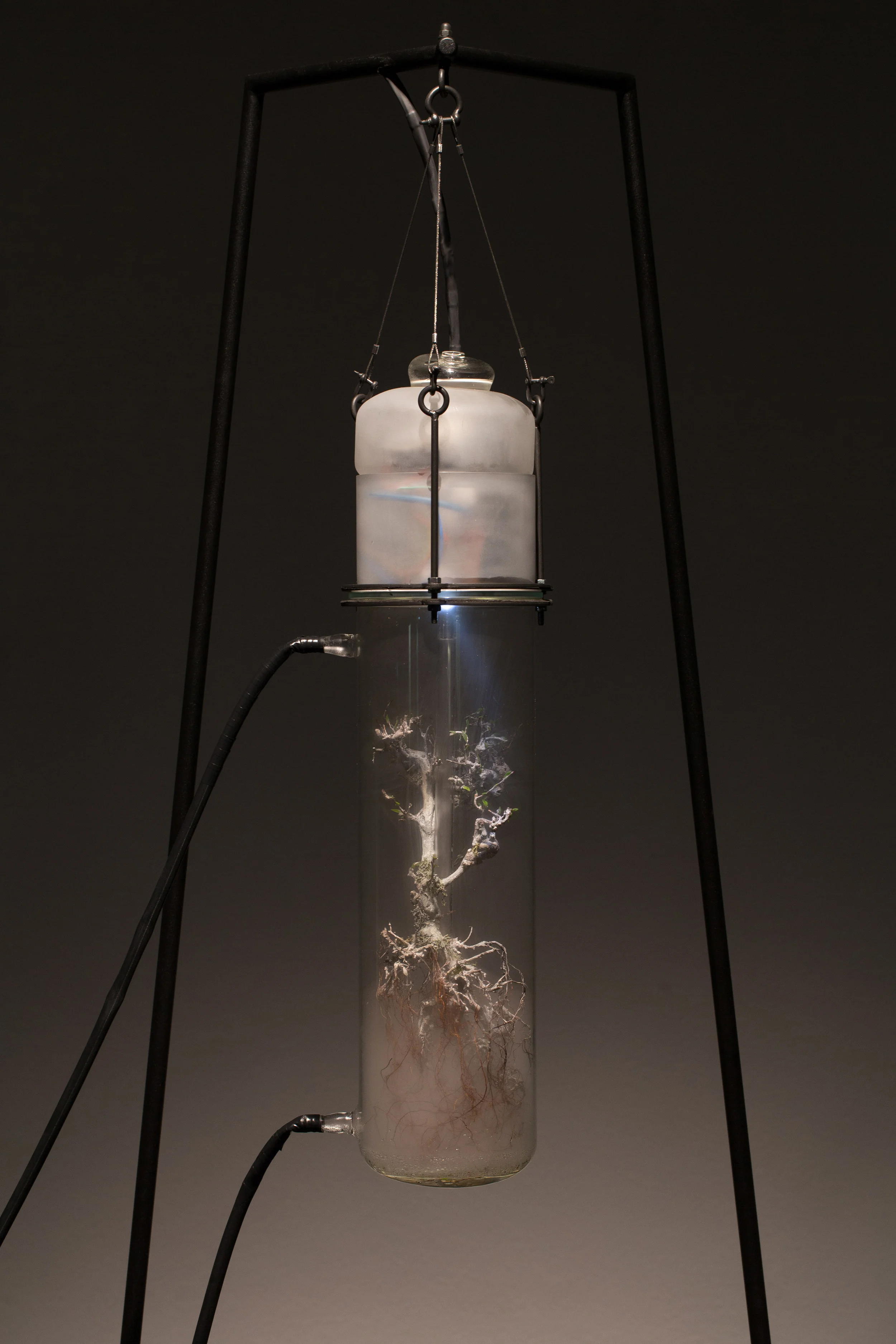 7Glassworks 117.jpg