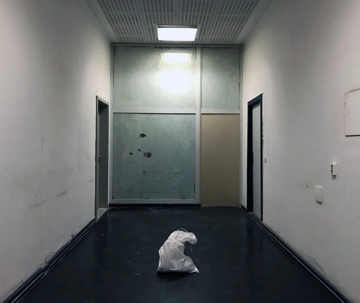 Bag.jpg