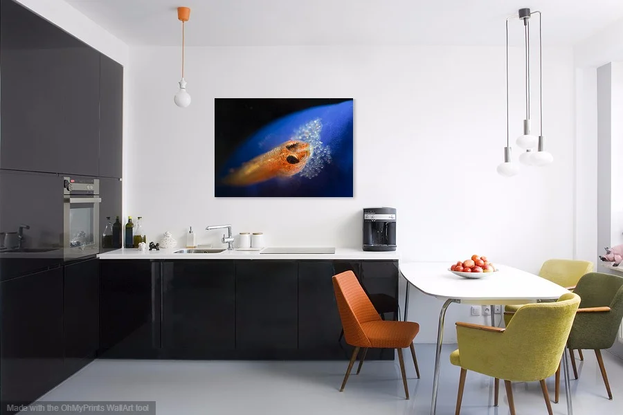 fish eggs room.jpg