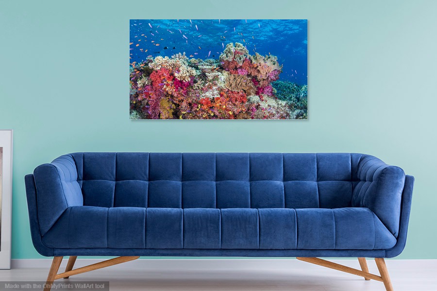 coral landscape room.jpg