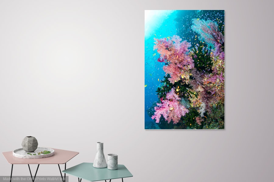 Pink Tree Room.jpg