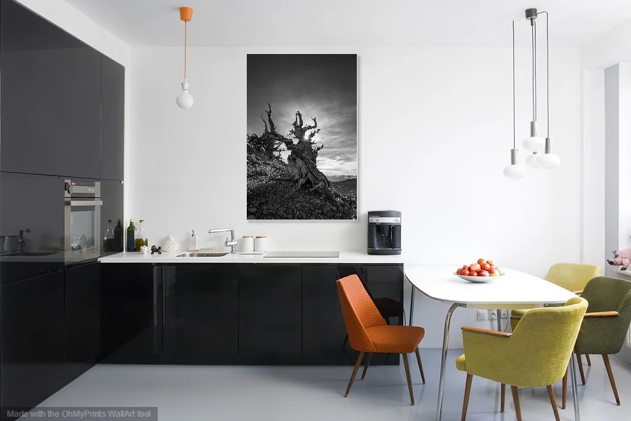 BW Bristle Cone Tree OhMyPrints.jpg