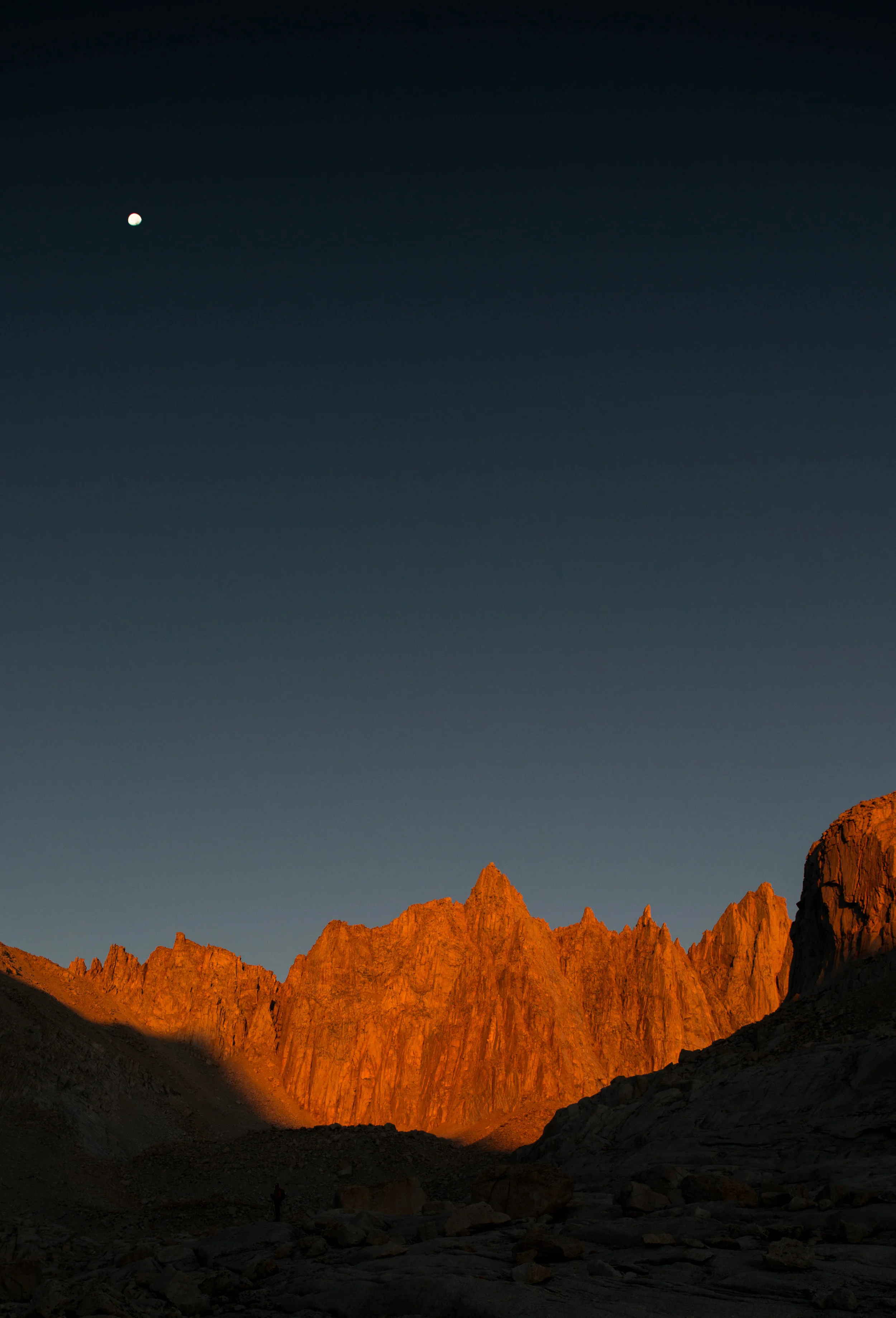_DSC3375.jpg
