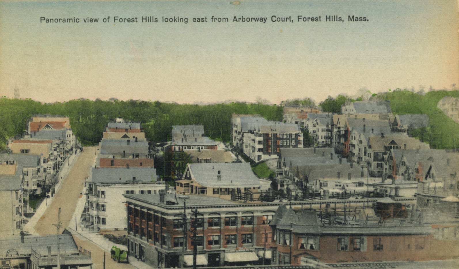  View of Forest Hills. Scanned from a postcard donated by Annie Finnegan, November 2007.   