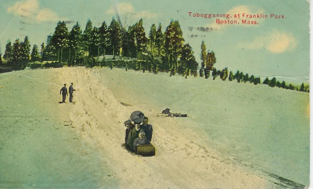 Toboganning at Franklin Park