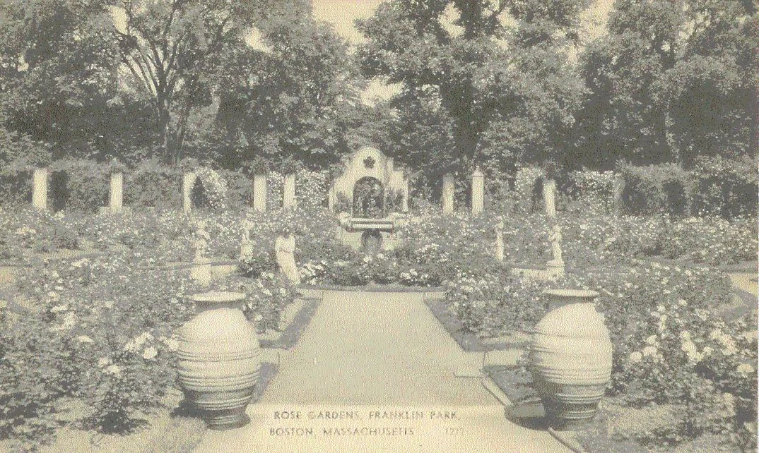 The Rose Garden