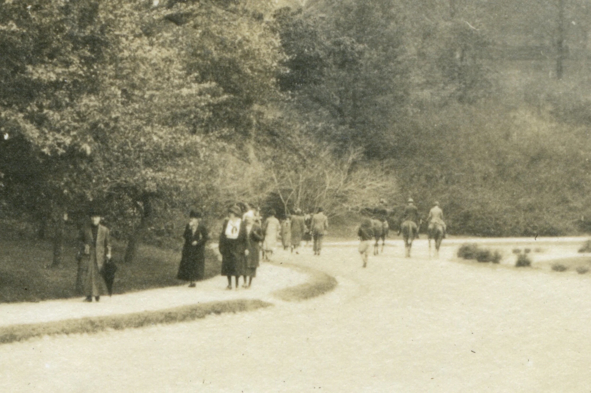 Visitors at the Harvard Arnold Arboretum. Undated photograph provided courtesy of Gregory French. Download
