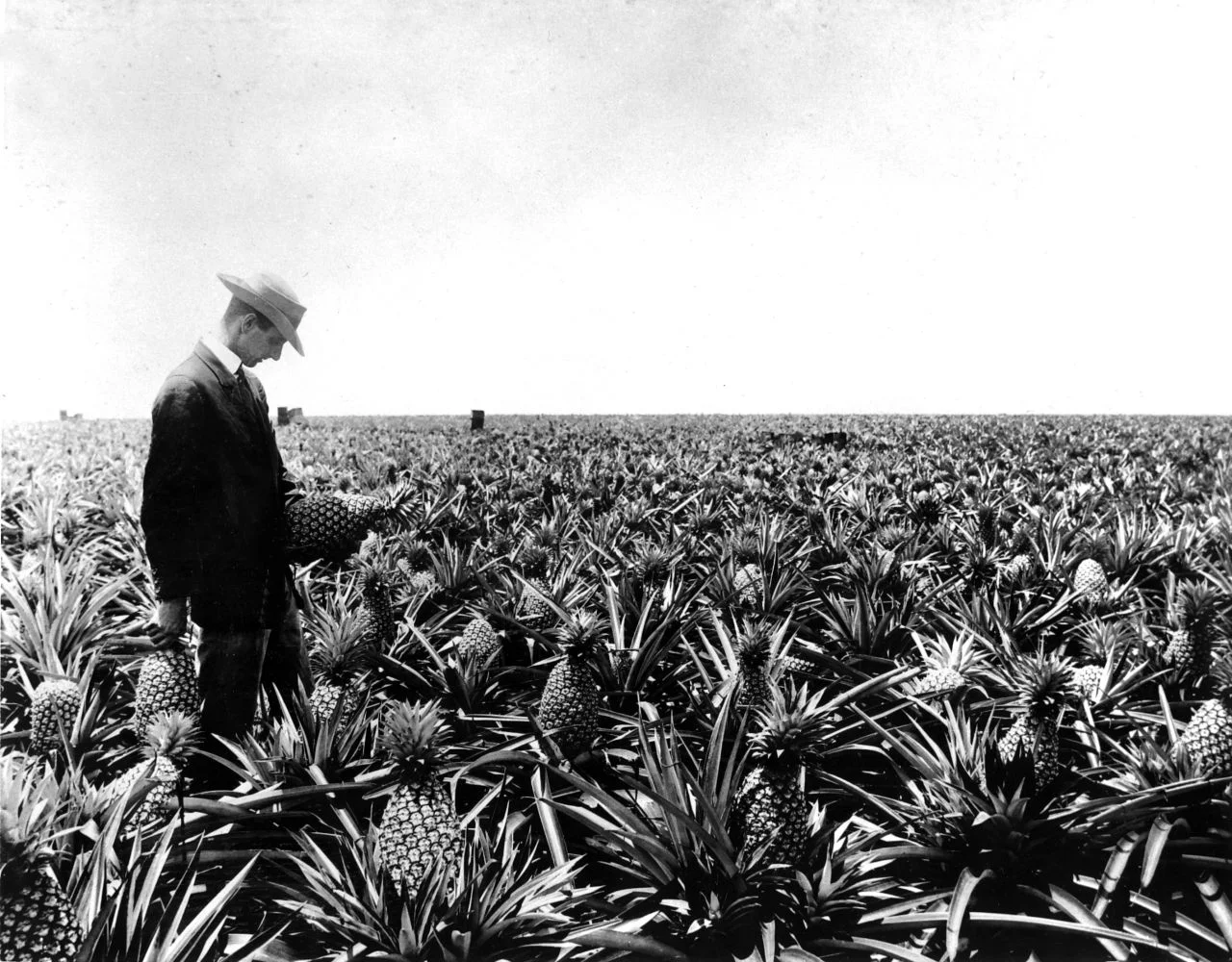 Dole poses with his product in one of his fields