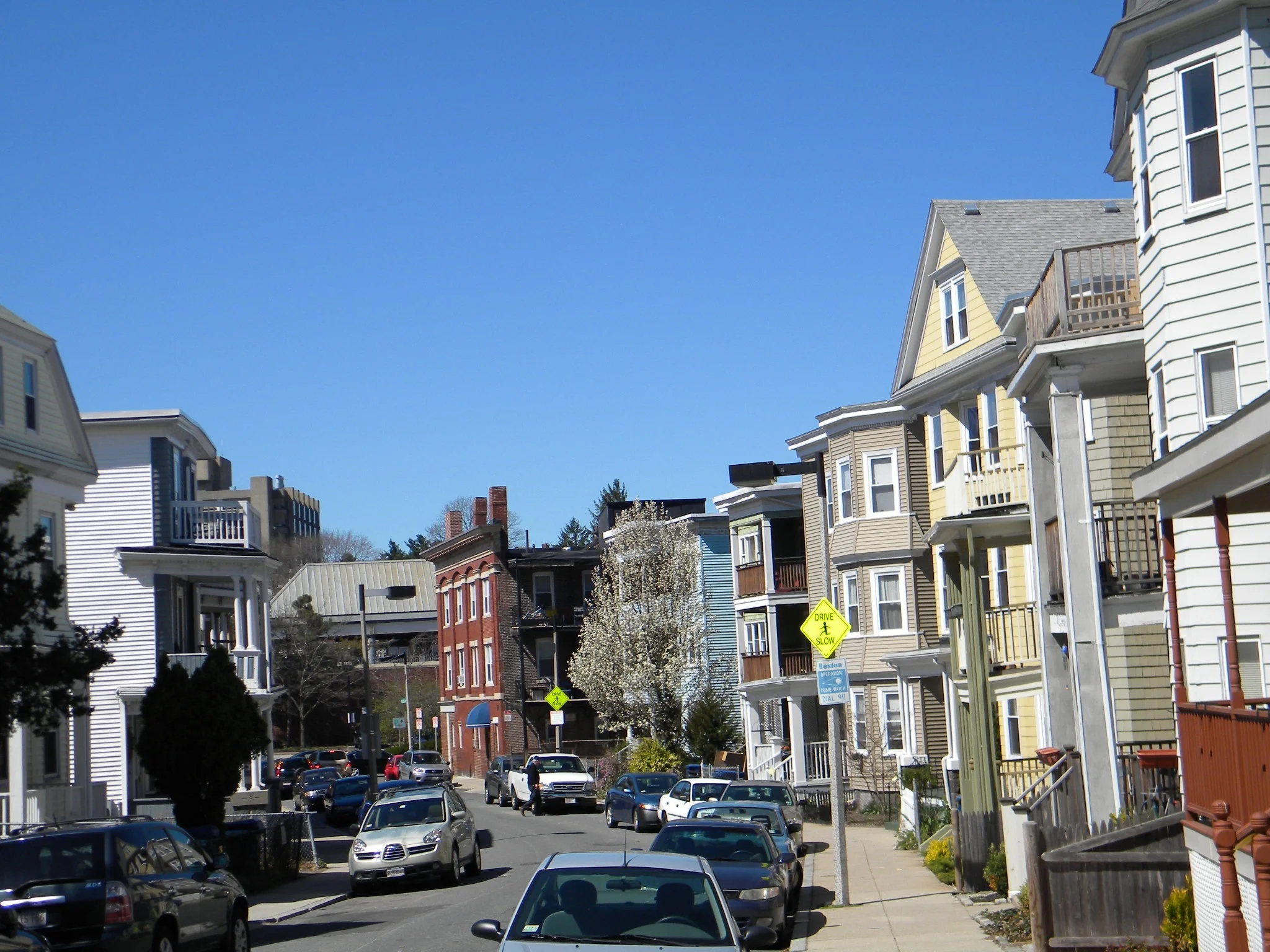 Woodlawn Street. Photograph by Richard Heath