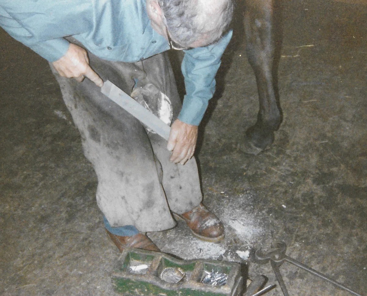 Preparing the hoof, courtesy of John Lovett