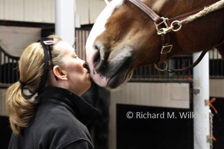 Boston Mounted Police