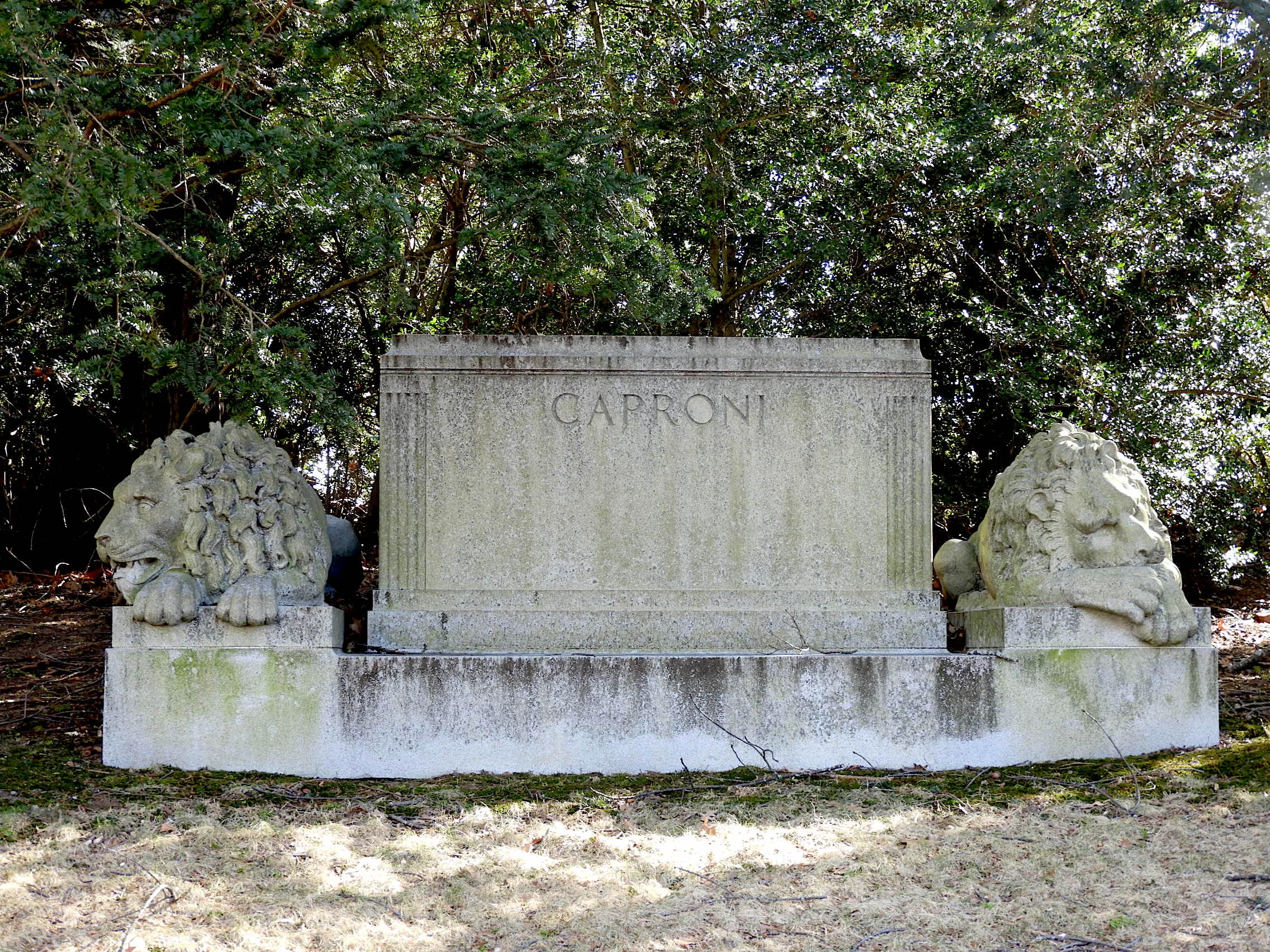 The Lions of Forest Hills Cemetery
