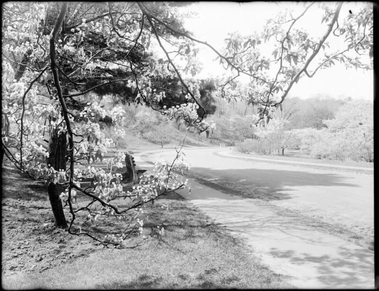 The Remarkable Photographs of Leon Abdalian (Event Video)