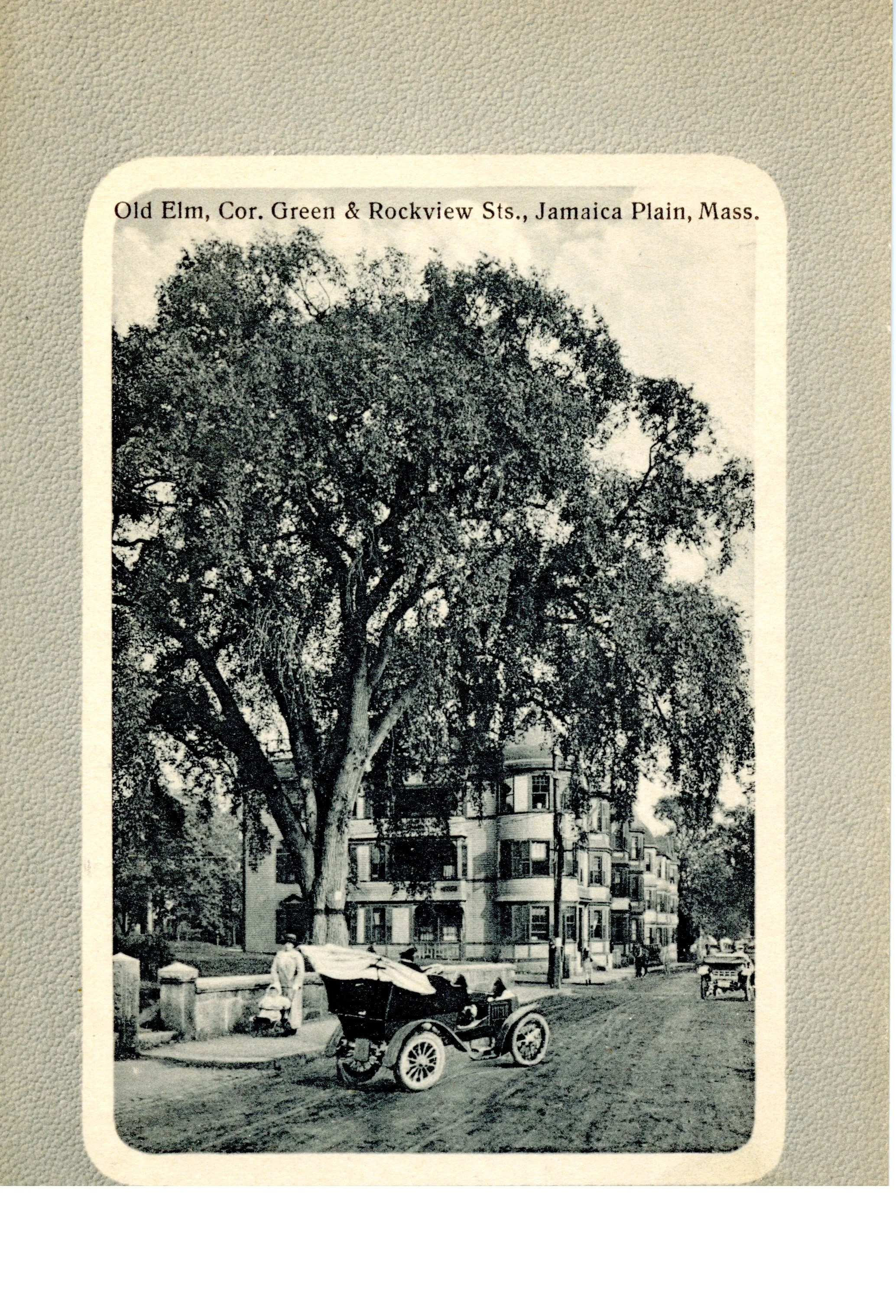  Old Elm at Green and Rockview Streets. 