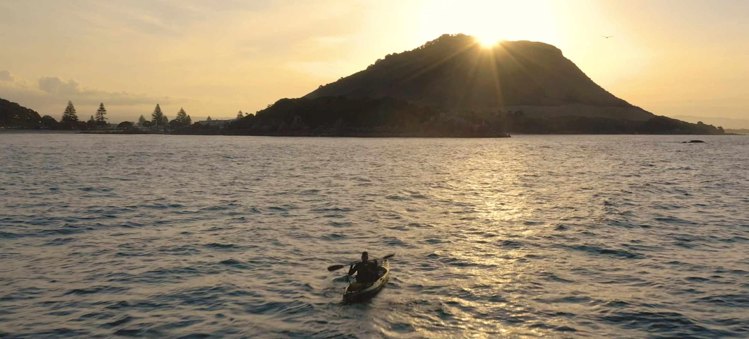 Screen Shot 2019-11-16 at 11.11.28 PM.png