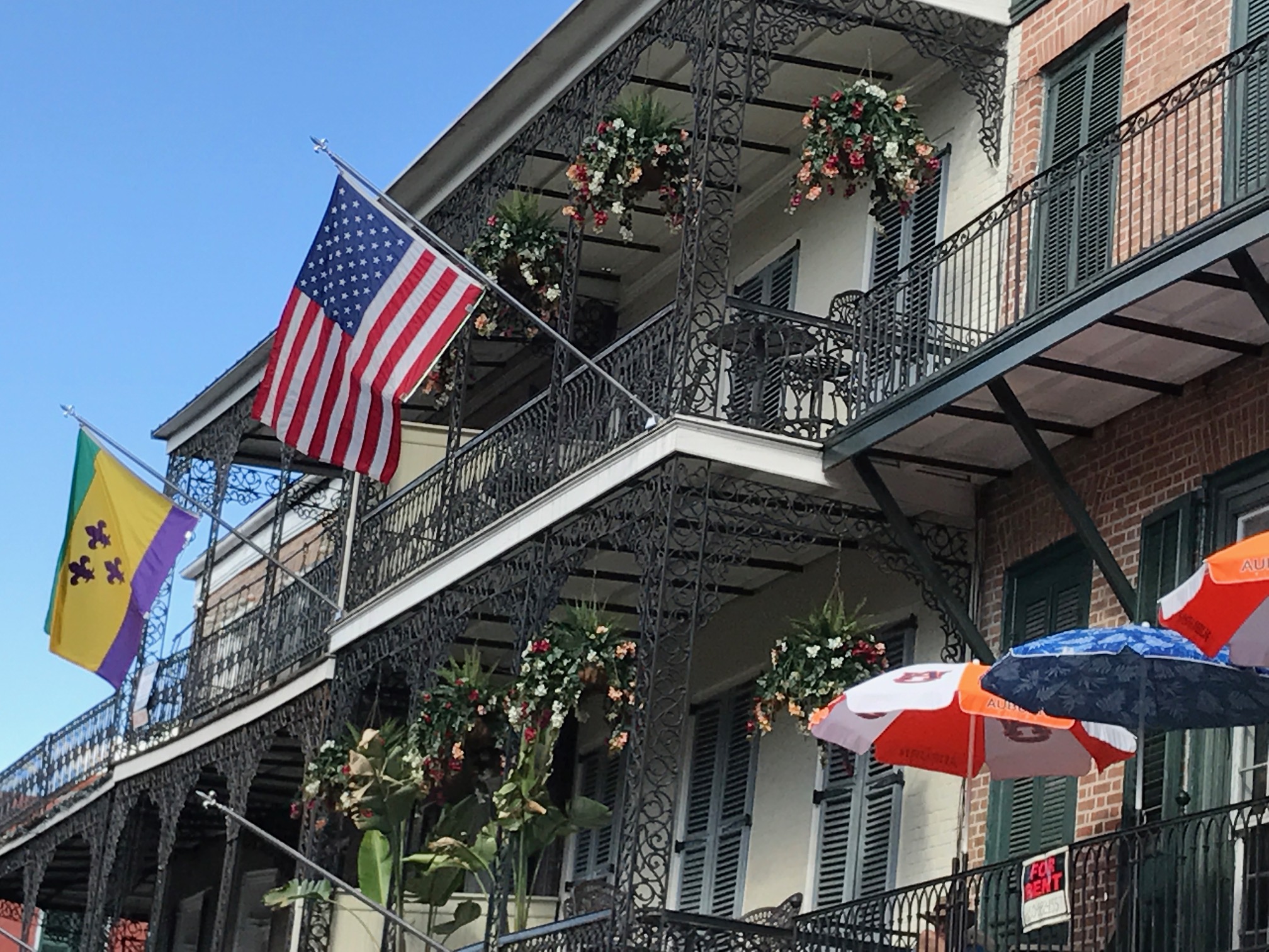 Calling and Purpose 28—Political Leadership