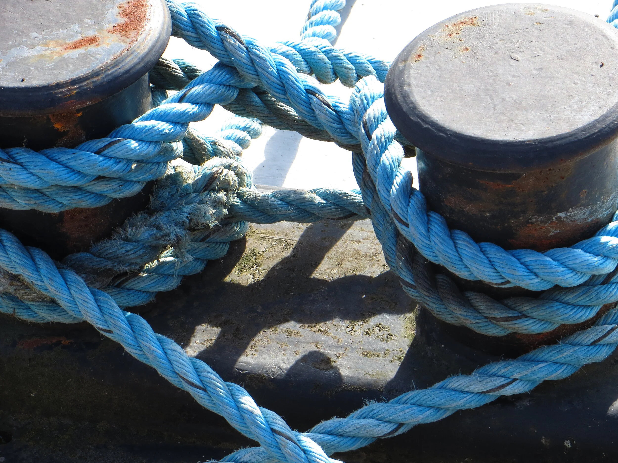 Our Humanness Can Get in The Way of Our Purpose…For a Time…But Jesus Restores