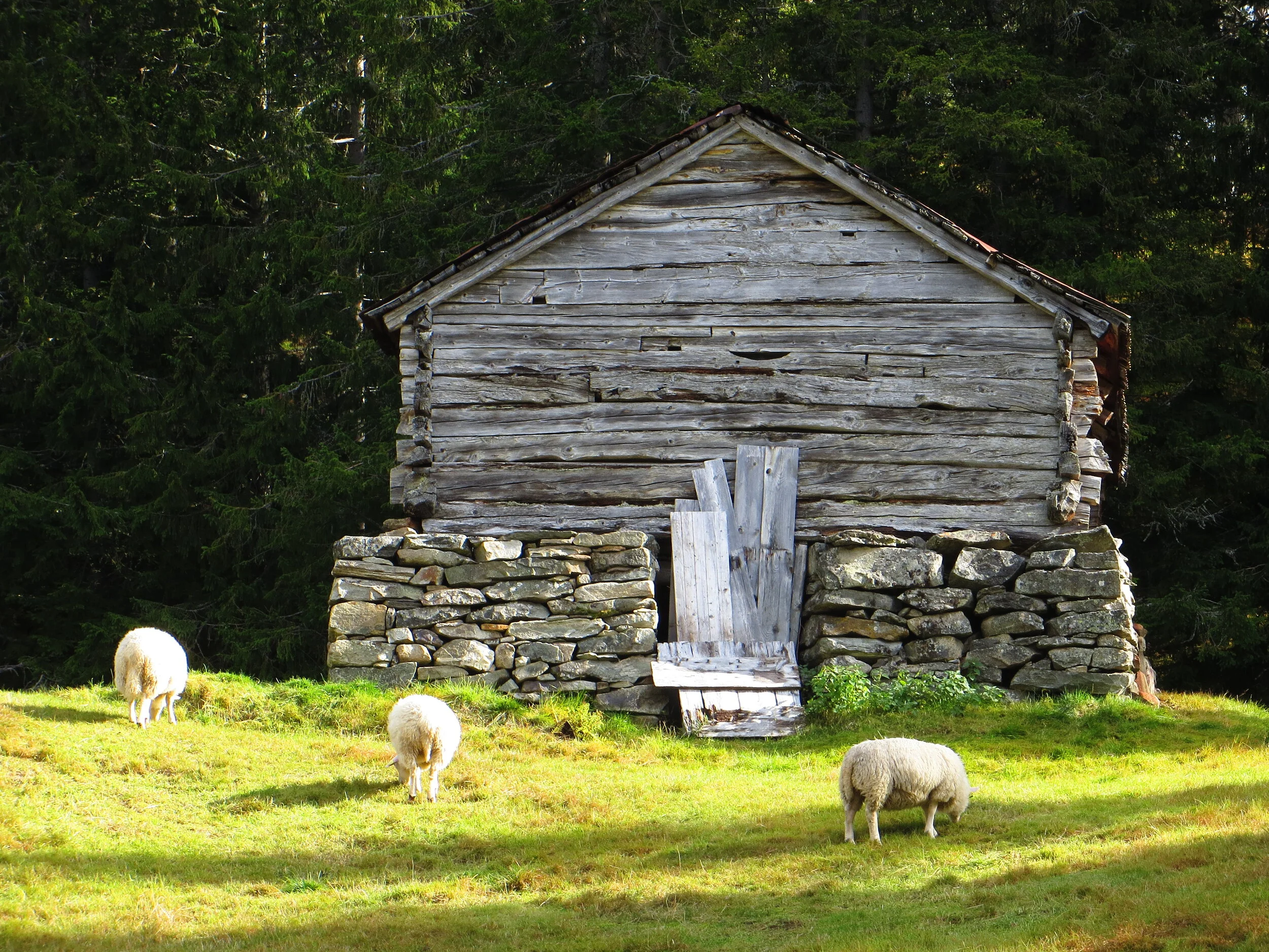 Calling and Purpose 43—The Intersection of God’s Roles and Ours—Part II