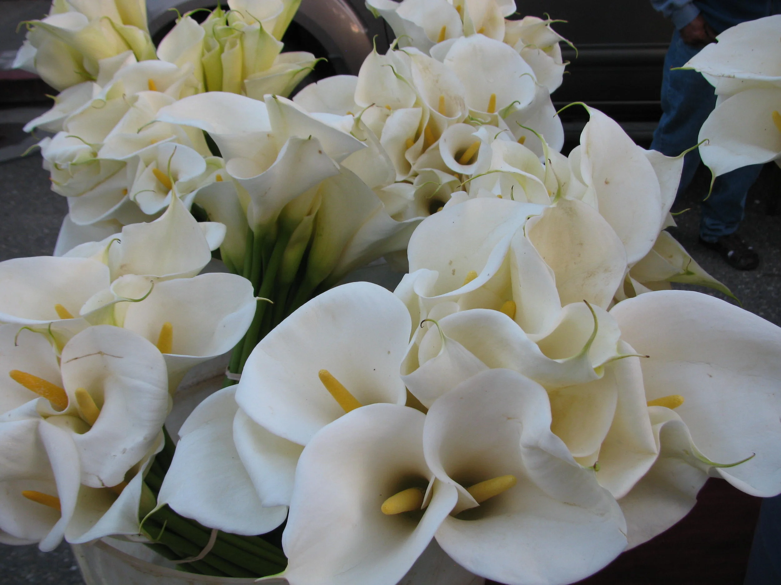 Calling and Purpose 44—The Intersection of God’s Roles and Ours—Part III